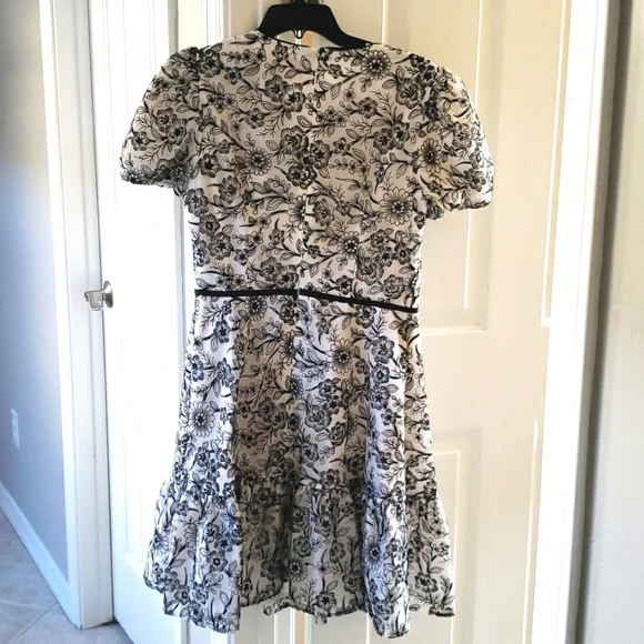 NWT Gal Meets Glam Viola Raffia Embroidered Dress Size 4 - Picture 5 of 10
